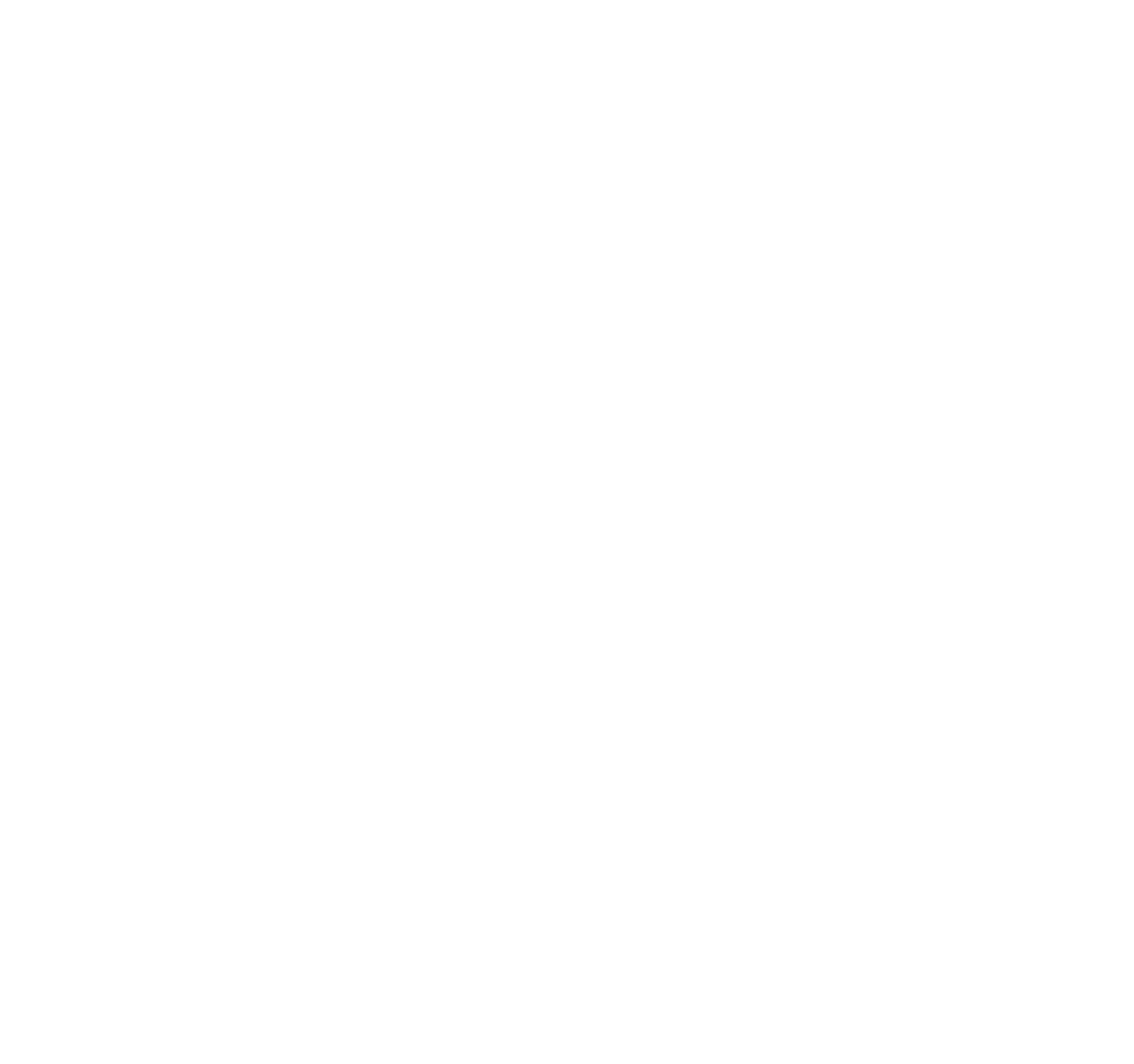 De Mini Spa Logo